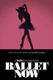 Ballet Now 2018 on netflix