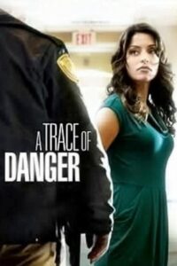 A Trace of Danger 2010 on netflix