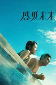 Upcoming Summer 2021 on netflix