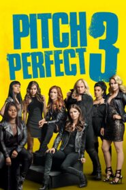 Pitch Perfect 3 2017 on netflix