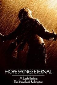 Hope Springs Eternal: A Look Back at The Shawshank Redemption 2004 on netflix
