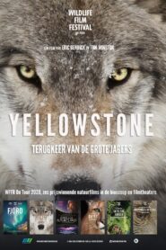 Yellowstone 2020 on netflix