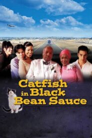 Catfish in Black Bean Sauce 1999 on netflix