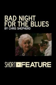 Bad Night for the Blues 2010 on netflix