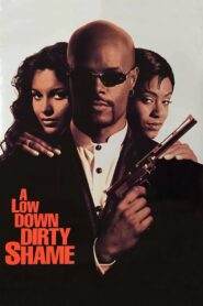 A Low Down Dirty Shame 1994 on netflix