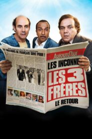 The Three Brothers: The Return 2014 on netflix