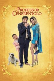 Mr. Cinderella 2015 on netflix