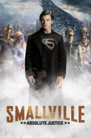 Smallville: Absolute Justice 2010 on netflix
