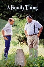 A Family Thing 1996 on netflix