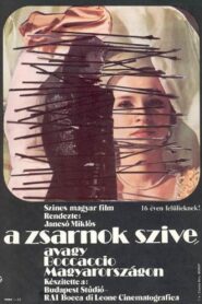 The Tyrant’s Heart, or Boccaccio in Hungary 1981 on netflix
