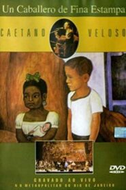 Caetano Veloso – Un Caballero De Fina Estampa 2003 on netflix