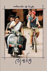 Thanmathra 2005 on netflix