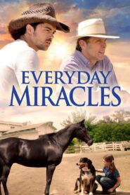 Everyday Miracles 2015 on netflix