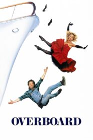 Overboard 1987 on netflix
