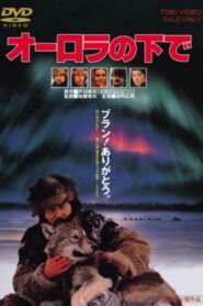 Aurora Borealis 1990 on netflix