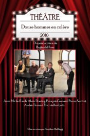 Douze hommes en colère 2010 on netflix