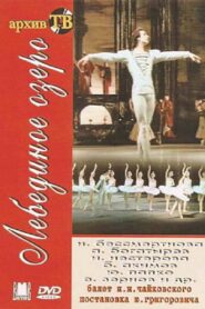 Swan Lake 1983 on netflix