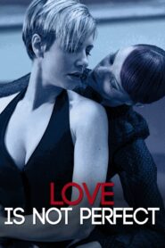Love Is Not Perfect 2012 on netflix
