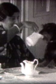 Dusi & Jenõ 1989 on netflix