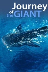 Journey of the Giant 2000 on netflix
