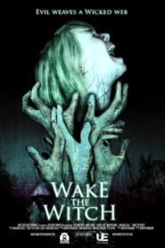 Wake the Witch 2010 on netflix