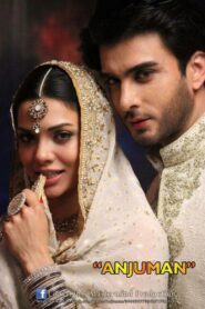 Anjuman 2013 on netflix