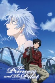 The Princess and the Pilot 2011 on netflix