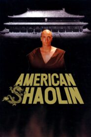 American Shaolin 1991 on netflix