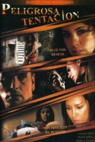 Peligrosa tentación 2008 on netflix