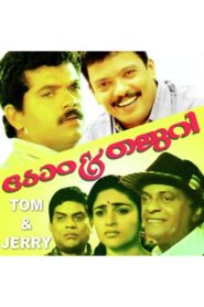 Tom & Jerry 1996 on netflix