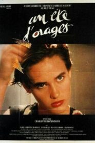 Stormy Summer 1989 on netflix