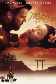 Madame Butterfly 1995 on netflix