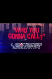 Who You Gonna Call?: A Ghostbusters Retrospective 2014 on netflix