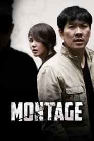 Montage 2013 on netflix