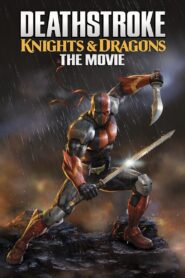 Deathstroke: Knights & Dragons – The Movie 2020 on netflix
