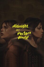 Midnight in a Perfect World 2020 on netflix