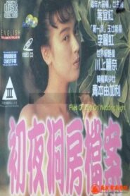 Files of Love on Wedding Night 1994 on netflix
