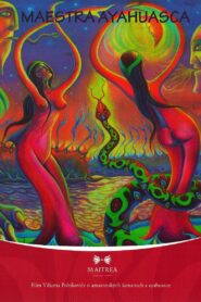 Maestra Ayahuasca 2011 on netflix