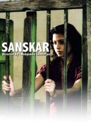Sanskar 2011 on netflix
