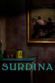 Surdine 2020 on netflix