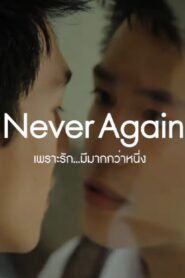 Never Again 2014 on netflix