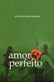Amor Perfeito 2005 on netflix
