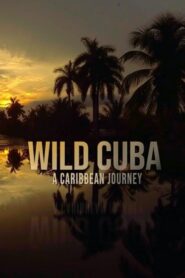 Wild Cuba: A Caribbean Journey 2020 on netflix