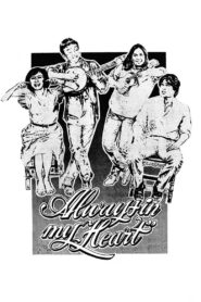 Always in My Heart 1983 on netflix