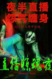 Memory Maze 2024 on netflix