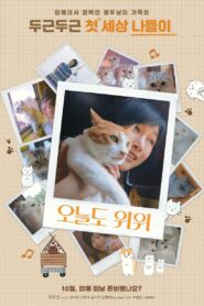The Journey of the 12 Cats 2019 on netflix