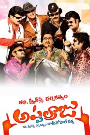 Katha Screenplay Darsakatvam Appalaraju 2011 on netflix