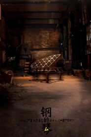 The Piano in a Factory 2011 on netflix