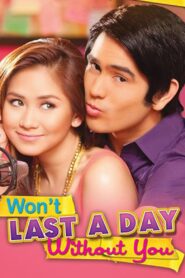 Won’t Last a Day Without You 2011 on netflix