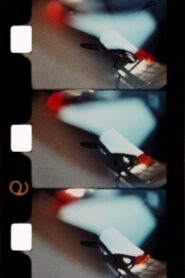 La vie brève de la flamme 1982 on netflix